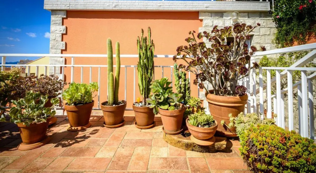 Apartment Gina - Dubrovnik, Забронировать Апартаменты/квартира СПА-отели Региона Дубровника, SPA-услуги