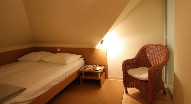 Двухместный номер Standard Мансарда Apartments Villa Boltez