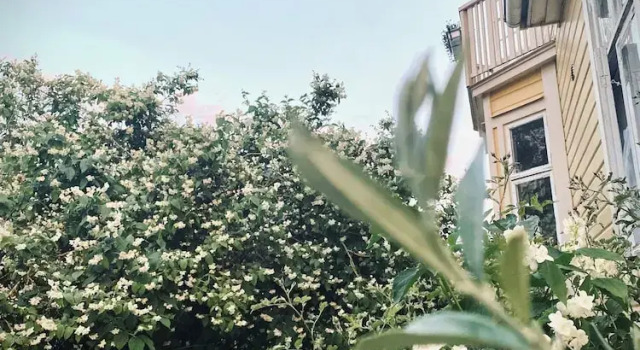 Villa Sol B&B and Hostel, 예약 호스텔 칼마르의 호스텔, 호스텔