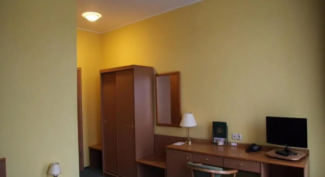 Номер Standard Zoloto Karpat