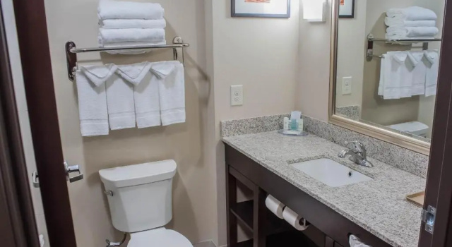 Номер Standard Comfort Inn & Suites Artesia