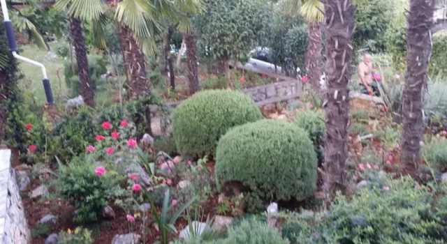 Apartments Miro, Забронировать Апартаменты/квартира Ичичи Opatija Riviera
