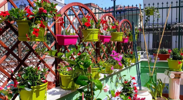 Полулюкс Suites Rome