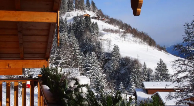 Шале Chalet Sonnberg