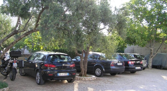 Апартаменты Цокольный этаж Apartman Vlašić - Vodice - Parking - Wi-Fi-Bike