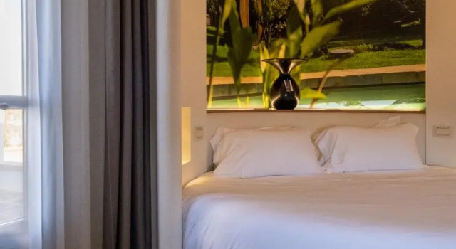 Standard dublă cameră Nohasi Palace Lifestyle Hotel & SPA