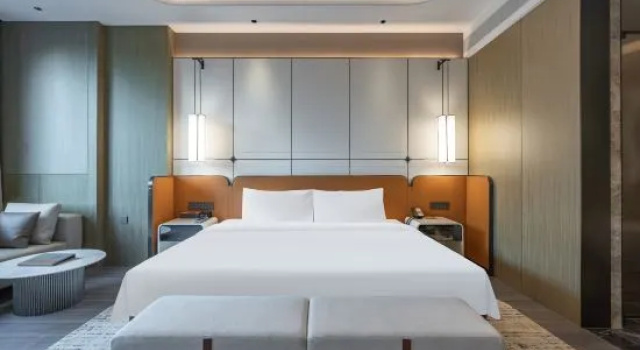 Люкс Business The Puli Oriental Hotel Tianjin