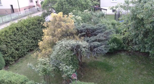 Номер Superior Villa Shafaly