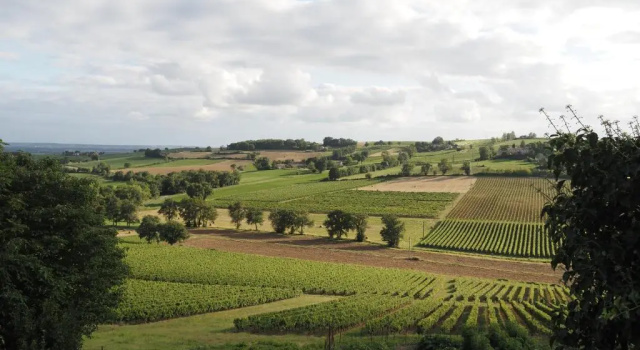 Коттедж Le Mas de Doat, Gîte de Charme 4 étoiles dans le Triangle d Or proche Gaillac et Albi