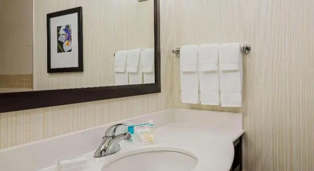 Шестиместный номер Standard Hilton Garden Inn Wayne