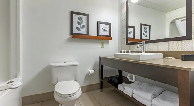 Двухместный люкс Country Inn & Suites by Radisson, Lumberton, NC