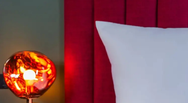 Одноместный номер Standard Dave Downtown  Son of a Brown