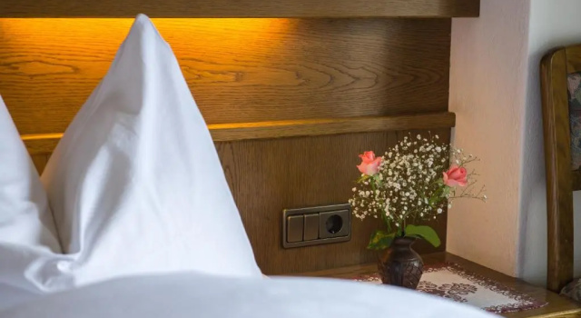 Одноместный номер Standard Guesthouse Pension Grafenstein