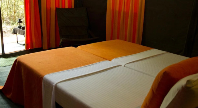 Explorer by Eco Team - Knuckles, Rezervasyon Kamp Alanı Kalupana Matale District