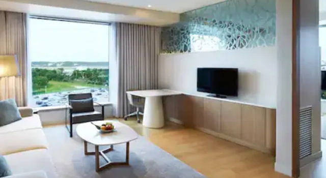 Люкс Deluxe Hyatt Regency Incheon Paradise City