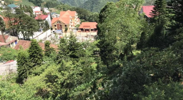 Семейный номер Standard с видом на сад A25 Hotel - 29 Thác Bạc - Sapa