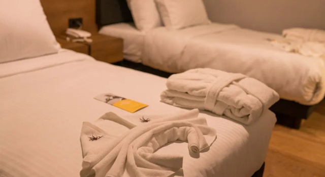 Номер Deluxe с балконом The Kayseri Loft Hotel