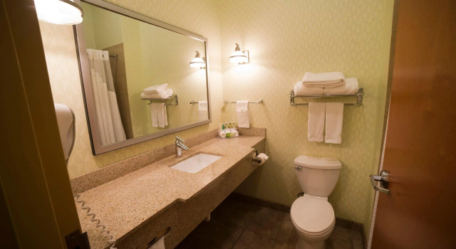 Номер Standard Holiday Inn Express Hotel & Suites Atlanta East - Lithonia by IHG