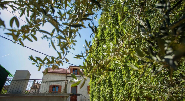 Stone House Marino, Забронировать Дом для отпуска Трогир Ciovo Island