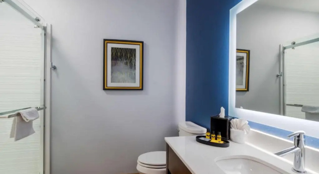 Номер Standard Hyatt Select St Louis Airport