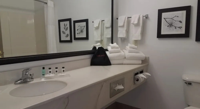 Люкс c 1 комнатой Country Inn & Suites by Radisson, Indianapolis Airport South, IN