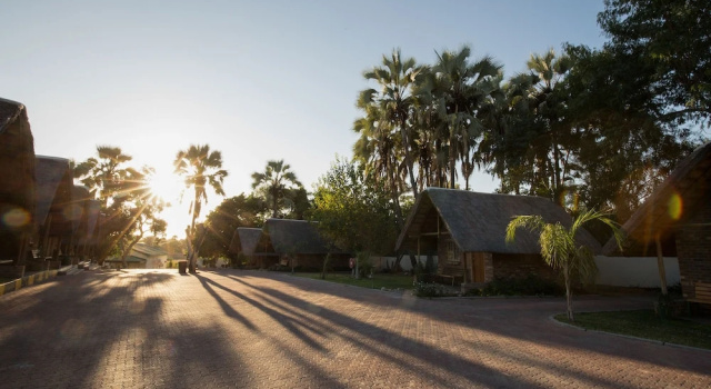 Номер Executive Maun Lodge