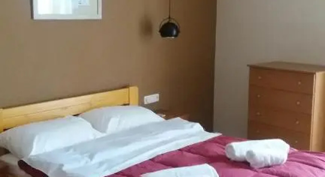 Апартаменты c 1 комнатой Hanna's Apartments