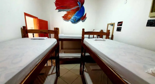 Кровать в общем номере Hostel Minha Lua
