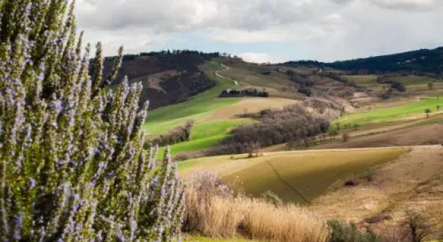Farm stay Agriturismo Casa Martelletto, Забронировать Фермерский дом Серра-Сан-Квйрико Марке