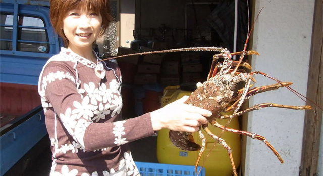 Toushijima Onsen Suzunami