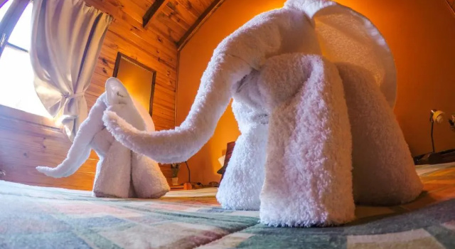 Бунгало Cabañas De La Patagonia