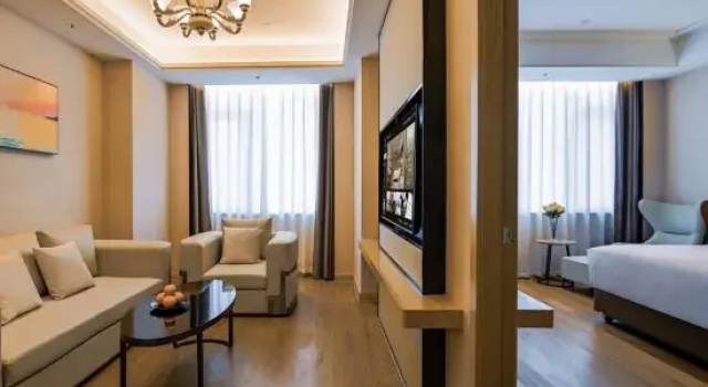 Люкс Deluxe Vienna International Hotel (Shenzhen North Railway Station Yuanfen Subway Station)