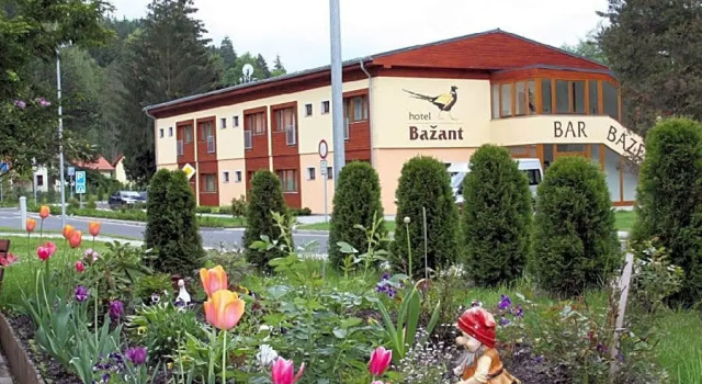 Hotel Bazant, Reservar Hotel Hotéis em Březová com Piscina, Piscina