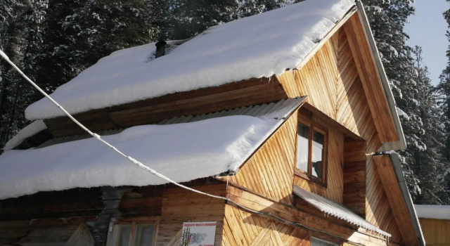Snow leopard, Rezervasyon Otel Hakasya Havuzlu Oteller, Yüzme Havuzu