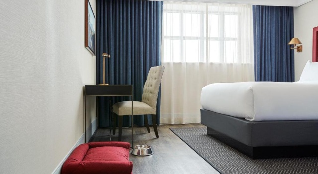 Двухместный номер Superior The Wick, Hudson, a Tribute Portfolio Hotel