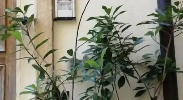 Benso Rooms, Забронировать Отель Специя Итальянская Ривьера