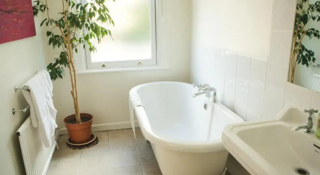 Номер Luxury Somerville House