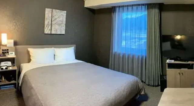 Двухместный номер Comfort Hotel Route Inn Ichihara