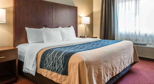 Comfort Inn Lacey - Olympia, Reserva ahora Hotel Hoteles en Utah con piscina, Piscina