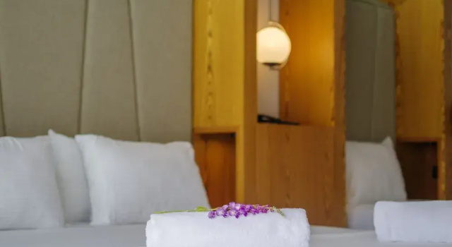 Номер Standard Orka World Hotel & Aqua Park
