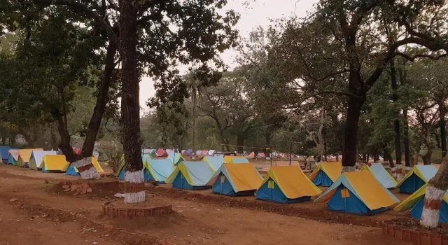 Satpura Adventure Resort & Camping
