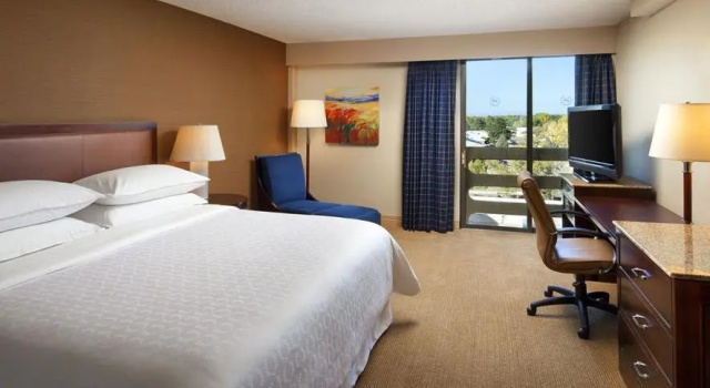 Номер Standard Sheraton Albuquerque Uptown by Marriott