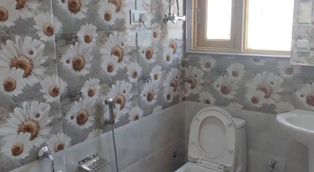 Номер Deluxe Silver Inn Hotel