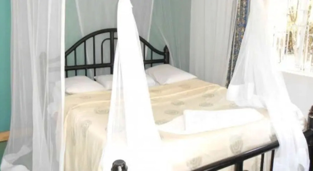 Номер Standard The Yellow Green Hotel