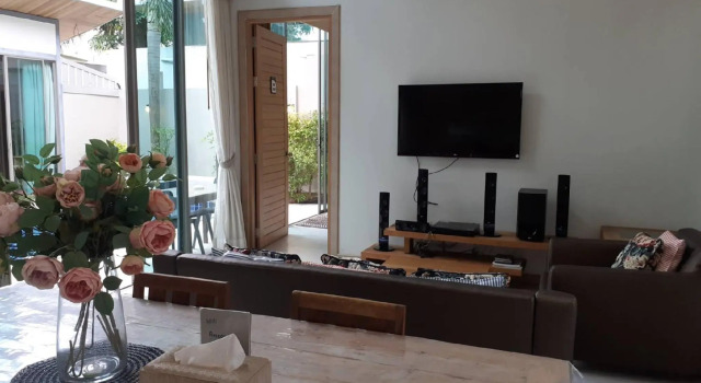 Areeca Mahogany Zone