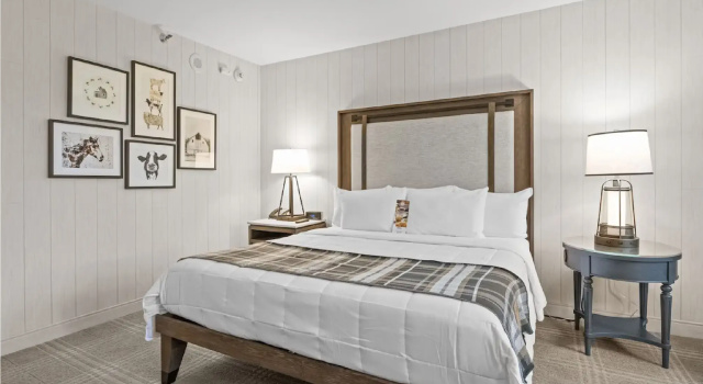 Номер Standard Knott's Hotel