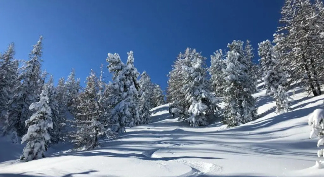 Апартаменты L'Alpi Cozie, rénové en 2020, pied des pistes et spa