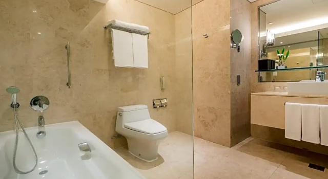Двухместный номер Premium Accessible Holiday Inn Bangkok Silom by IHG