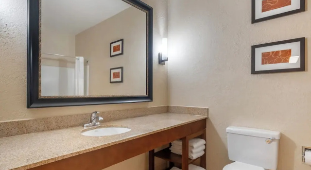 Семейный люкс Comfort Suites McKinney-Allen