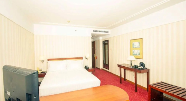 Lüks çift kişilik oda REDTOP Hotel & Convention Center